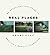Real Places: An Unconventional Guide to America's Generic Landscape
