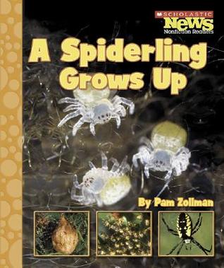 A Spiderling Grows Up (Animal Life Cycles)
