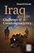 Iraq and the Challenge of Counterinsurgency (Praeger Security International)