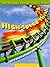 High-Speed Thrills: Acceleration and Velocity (The Science Behind Thrill Rides)