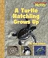 A Turtle Hatchling Grows Up (Animal Life Cycles)