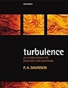 Turbulence: An In...