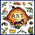 The Life and Times of the Ant