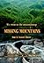Missing Mountains by Kristin Johannsen