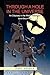 Through a Hole in the Universe: An Odyssey in the World Next Door: Book One of Two (An Odyssey in the World Next Door, 1)