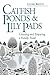 Catfish Ponds & Lily Pads: Creating and Enjoying a Family Pond