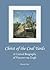 Christ of the Coal Yards: A Critical Biography of Vincent van Gogh