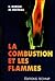 La  combustion et les flammes