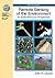 Remote Sensing of the Envir...