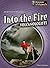 Into the Fire: Volcanologists (Scientists at Work)