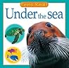 Under the Sea (Feels Real!)