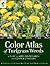 Color Atlas of Turfgrass Weeds: A Guide to Weed Identification and Control Strategies