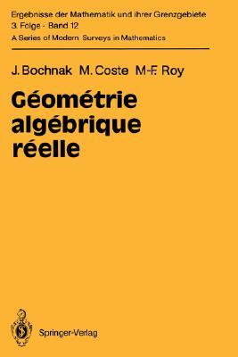 Géométrie algébrique réelle (Hardcover)