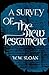A Survey of the New Testament