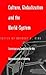 Culture, Globalization and the World-System: Contemporary Conditions for the Representation of Identity