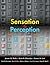Sensation & Perception by Jeremy M. Wolfe