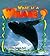 What is a Whale? (The Science of Living Things)