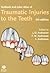 Textbook And Color Atlas Of Traumatic Injuries To The Teeth by Jens Andreasen