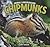 Chipmunks (Animals Underground)
