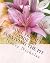 Soul Friends' Guide to Surv...