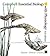 Campbell Essential Biology with Physiology by Eric J. Simon