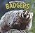 Badgers (Animals Underground, 5)