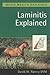 Laminitis Explained