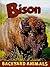 Bison (Backyard Animals)