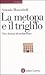 La metopa e il triglifo. Nove lezioni di architettura