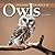 Exploring the World of Owls by Tracy C. Read
