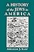 A History of Jews in America