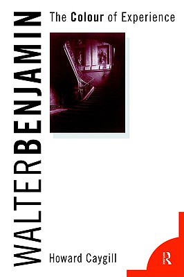 Walter Benjamin: The Colour of Experience (Paperback)
