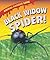 Black Widow Spider! (Animal Danger Zone)