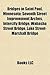 Bridges in Saint Paul, Minnesota: Seventh Street Improvement Arches, Intercity Bridge, Wabasha Street Bridge, Lake Street-Marshall Bridge