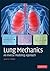 Lung Mechanics: An Inverse Modeling Approach