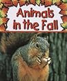 Animals in the Fall (Preparing for Winter) Animals in the Fall (Preparing for Winter)