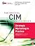 CIM Coursebook 08/09 Strategic Marketing in Practice by Ashok Ranchhod