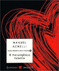 Il meraviglioso tubetto (Paperback)