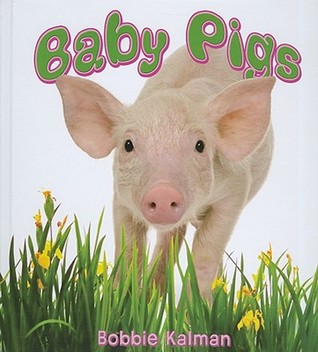 Baby Pigs (It's Fun to Learn About Baby Animals)