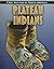Plateau Indians (First Nations of North America: Heinemann InfoSearch)