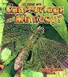 What are Camouflage and Mimicry? (The Science of Living Things)