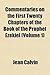 Commentaries on the First Twenty Chapters of the Book of the Prophet Ezekiel (Volume 1)