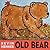 Old Bear