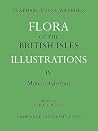 Flora of the British Isles: Illustrations (Flora of the British Isles 4 Volume Paperback Set) (Part 2) Flora of the British Isles: Illustrations (Flora of the British Isles 4 Volume Paperback Set) (Part 2)