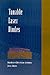 Tunable Laser Diodes (Artech House Optoelectronics Library)