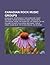 Canadian Rock Music Groups: Nickelback, Steppenwolf, the Guess Who, Heart, Bachman-Turner Overdrive, Moxy, Cancer Bats, Lighthouse, Prism