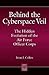 Behind the Cyberspace Veil: The Hidden Evolution of the Air Force Officer Corps (Praeger Security International)