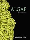 Algae
