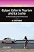 Cuban Color in Tourism and La Lucha: An Ethnography of Racial Meanings (Issues of Globalization:Case Studies in Contemporary Anthropology)