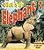 What Is an Elephant? (Science of Living Things)